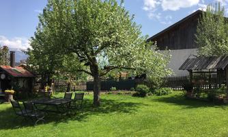 A beautiful garden with a large tree and a table with chairs. In the background, a wooden building and blue sky can be seen.