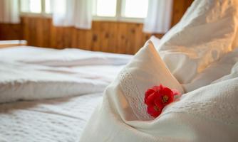 A cozy bed with white bedding and a red petal. Soft light streams into the room through the windows.