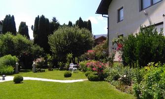 A well-kept garden with colorful flowers and green shrubs. In the background stands a bright house and a small path leads through the green lawn area.