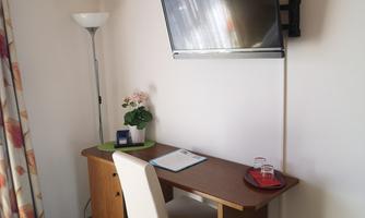 A small room with a desk and a television on the wall. Next to the desk stands a lamp and a plant.