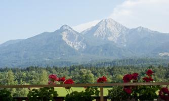 A picturesque mountain landscape with green forests and a blue sky. In the foreground, blooming flowers on a balcony.
