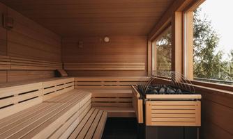 A cozy sauna room made of light wood with benches. Large windows offer a view of the nature outside.