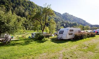 A quiet campsite with caravans surrounded by trees and green grass. In the background, gentle hills and a clear blue sky can be seen.