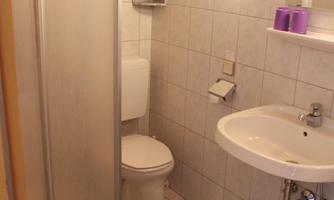 A small, bright bathroom with a shower, toilet, and sink. The floor is covered with a colorful rug and there are some decorative elements on the shelves.