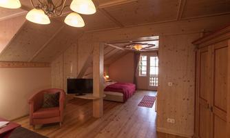 A cozy room with a wooden ceiling and floor. There is a double bed, a television, and a living area with an armchair.