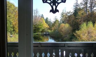 A peaceful landscape with colorful trees and a calm body of water. The view showcases nature in autumnal colors.