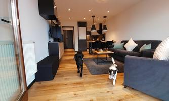 A modern living room with wooden floor and two dogs running around. There are cozy furniture and an open kitchenette in the background.