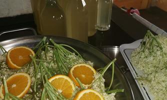A bowl with elderflowers and orange slices is placed on a table. In the background, several bottles with a clear liquid are standing.
