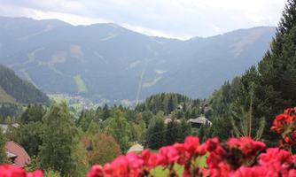 A picturesque mountain landscape with green forests and gentle hills. In the foreground, red flowers are blooming.