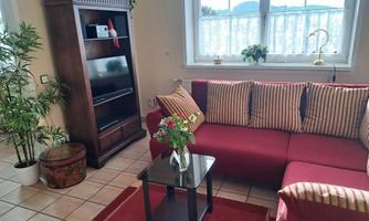 A cozy living room with a red sofa and striped pillows. A TV cabinet on the right and plants give the room an inviting atmosphere.
