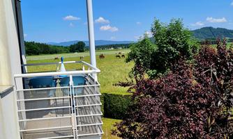 A cozy balcony overlooking a meadow and horses. The sky is clear and blue, surrounded by green trees.