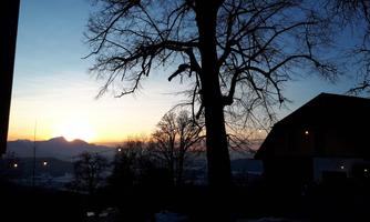 A beautiful sunrise behind mountains, visible through the silhouette of a tree. In the foreground, there is a building and the tranquil morning atmosphere.