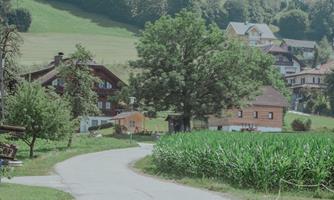 A picturesque rural landscape with a road winding through fields. In the background, residential houses and trees can be seen.