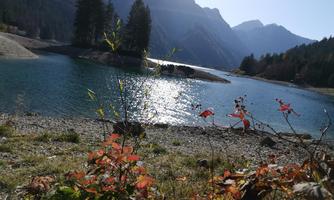 A tranquil lake surrounded by mountains and trees. The surface of the water reflects the sunlight.
