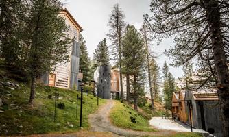 A picturesque landscape with modern wooden buildings nestled among tall trees. A gravel path winds through the tranquil surroundings.