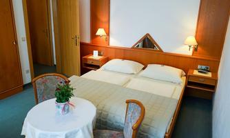 A cozy bedroom with two single beds and warm wood design. On the table, there is a small plant and in the room, there are two bedside lamps.
