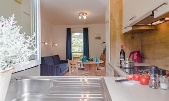 A modern kitchen with a view of a cozy living room. The space is bright and friendly with a dining table and plants.