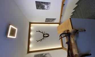 A modern staircase with a wooden railing. Pictures are hanging on the wall and a trophy is mounted as decoration.