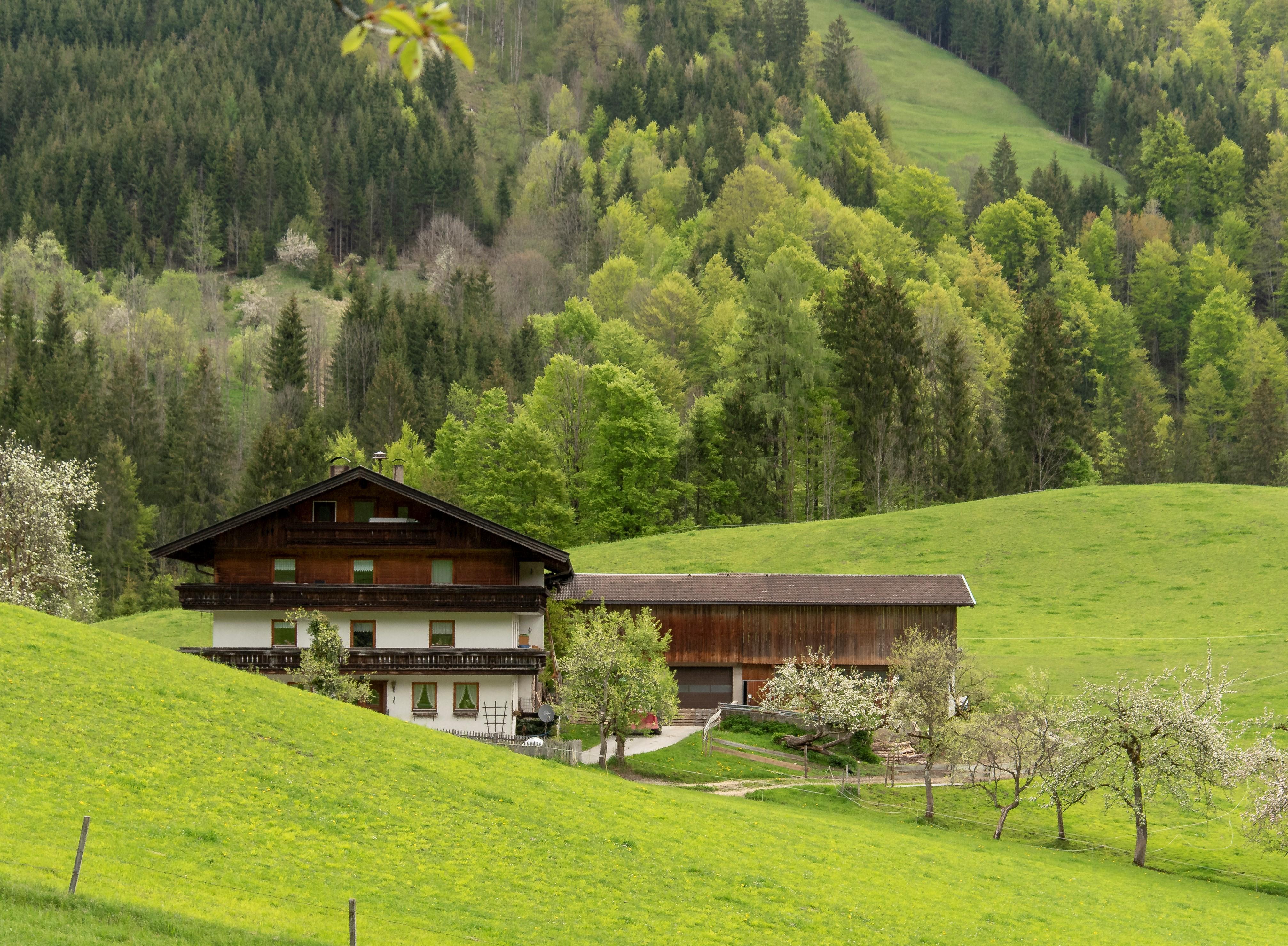 Biobauernhof Hecherhof Apartment/2 Schlafräum Ferienwohnung  Tirol