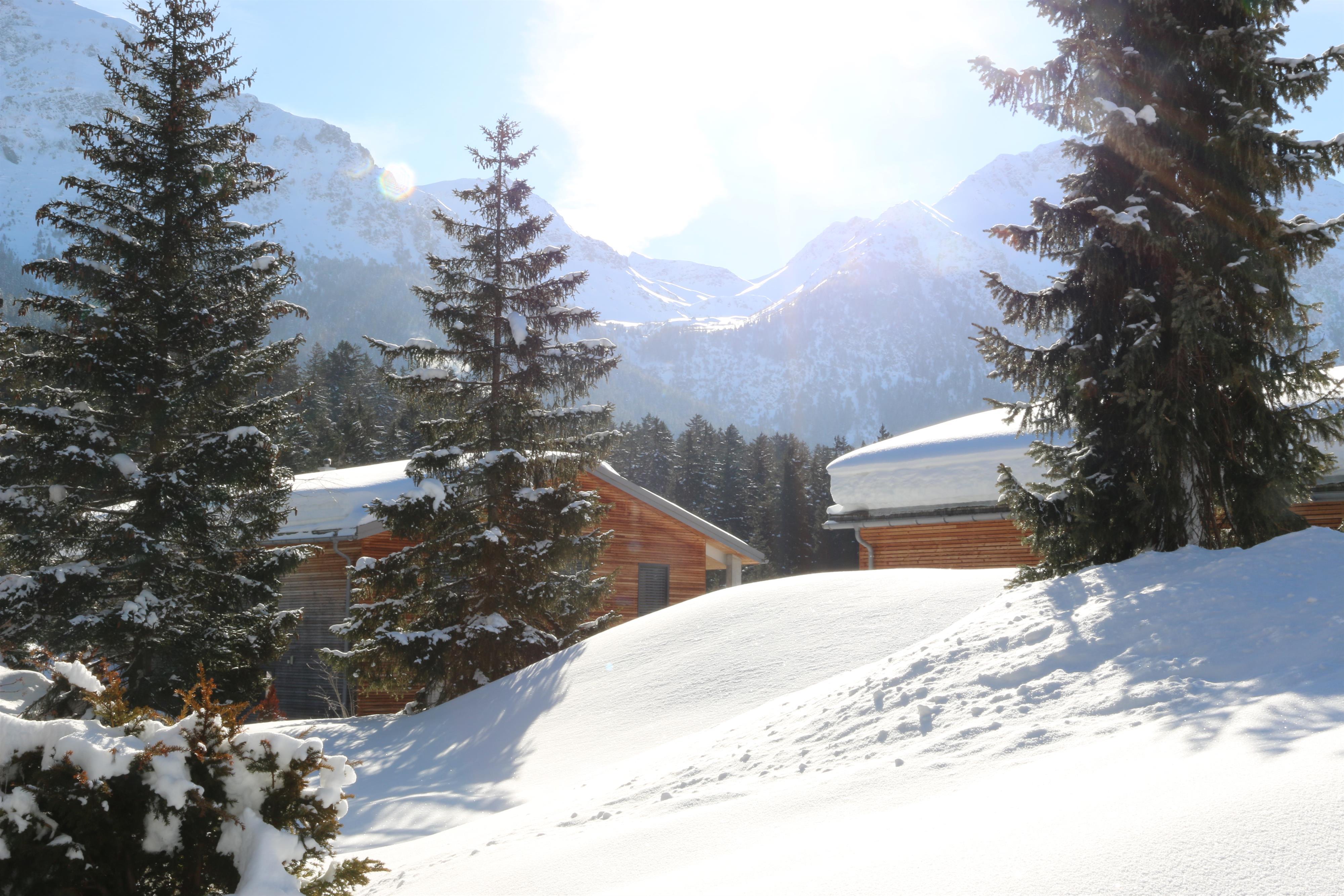 View from the garden seating area View from the garden seating area