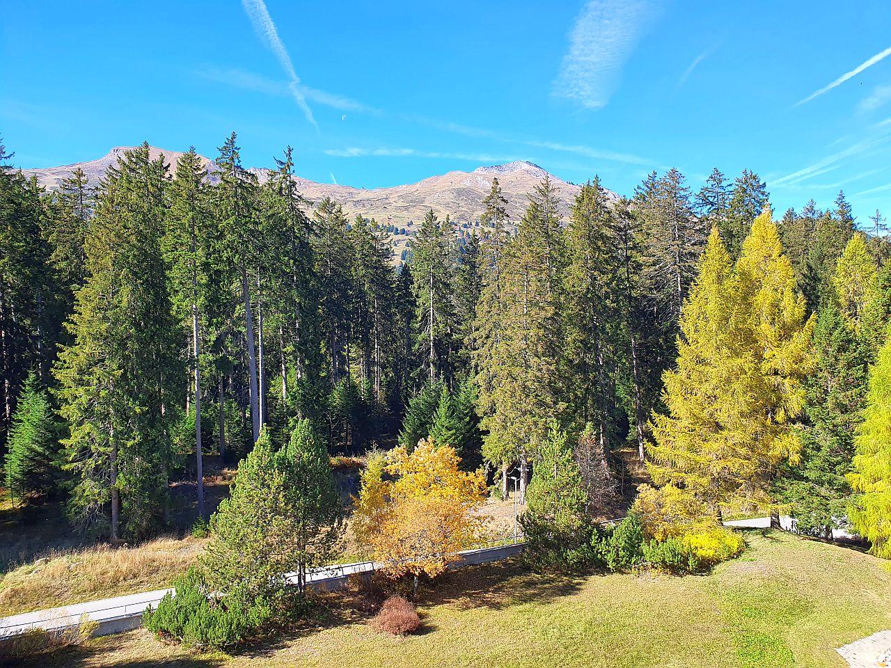 Aussicht vom Wohnzimmer/Balkon aus Aussicht vom Wohnzimmer/Balkon aus