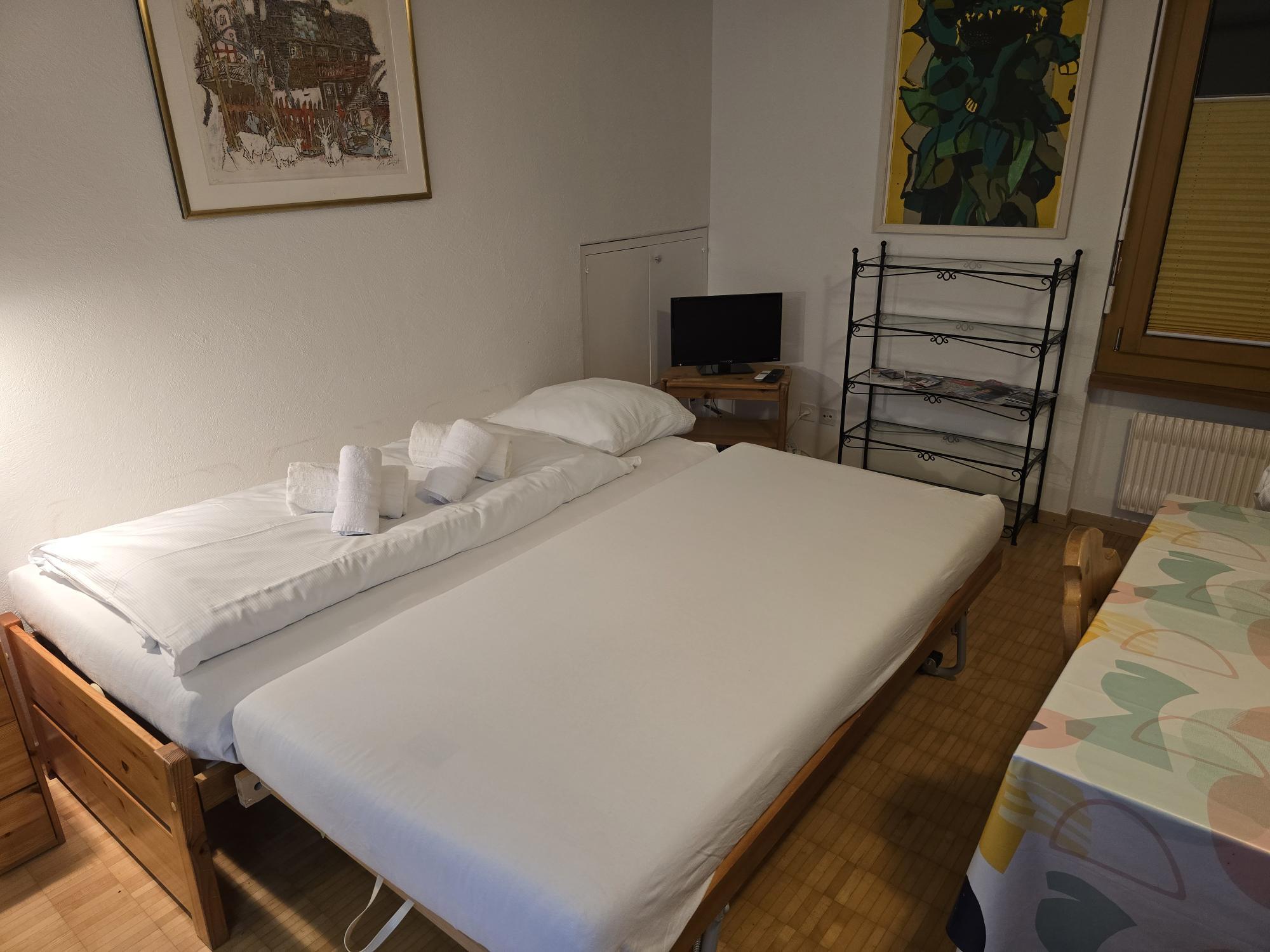 Pull-out bed for two people in the living room Pull-out bed for two people in the living room