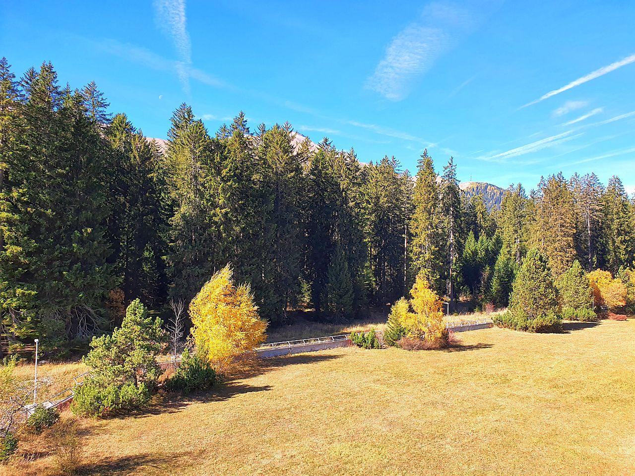 Aussicht vom Wohnzimmer/Balkon aus Aussicht vom Wohnzimmer/Balkon aus