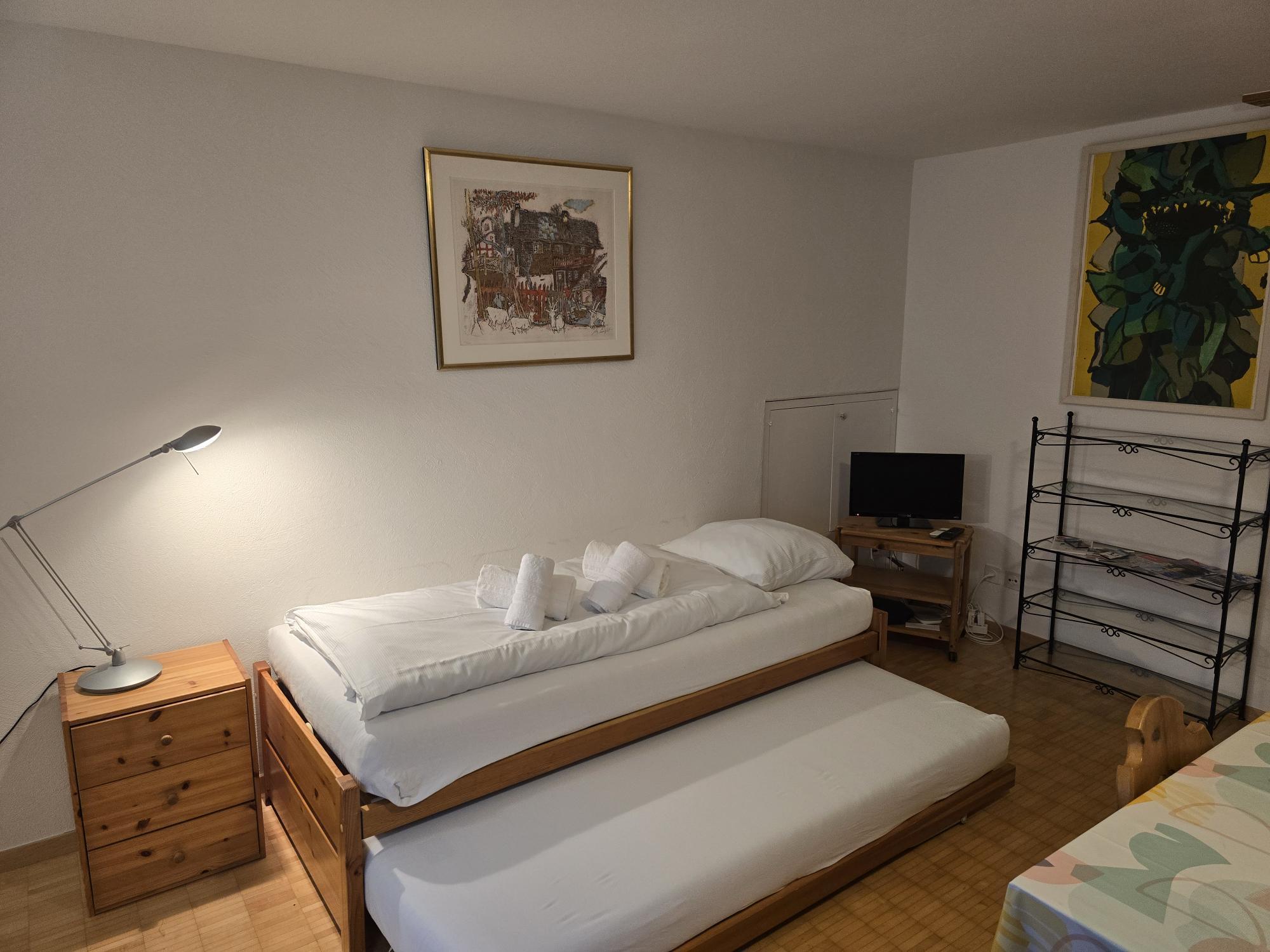 Pull-out bed for two people in the living room Pull-out bed for two people in the living room