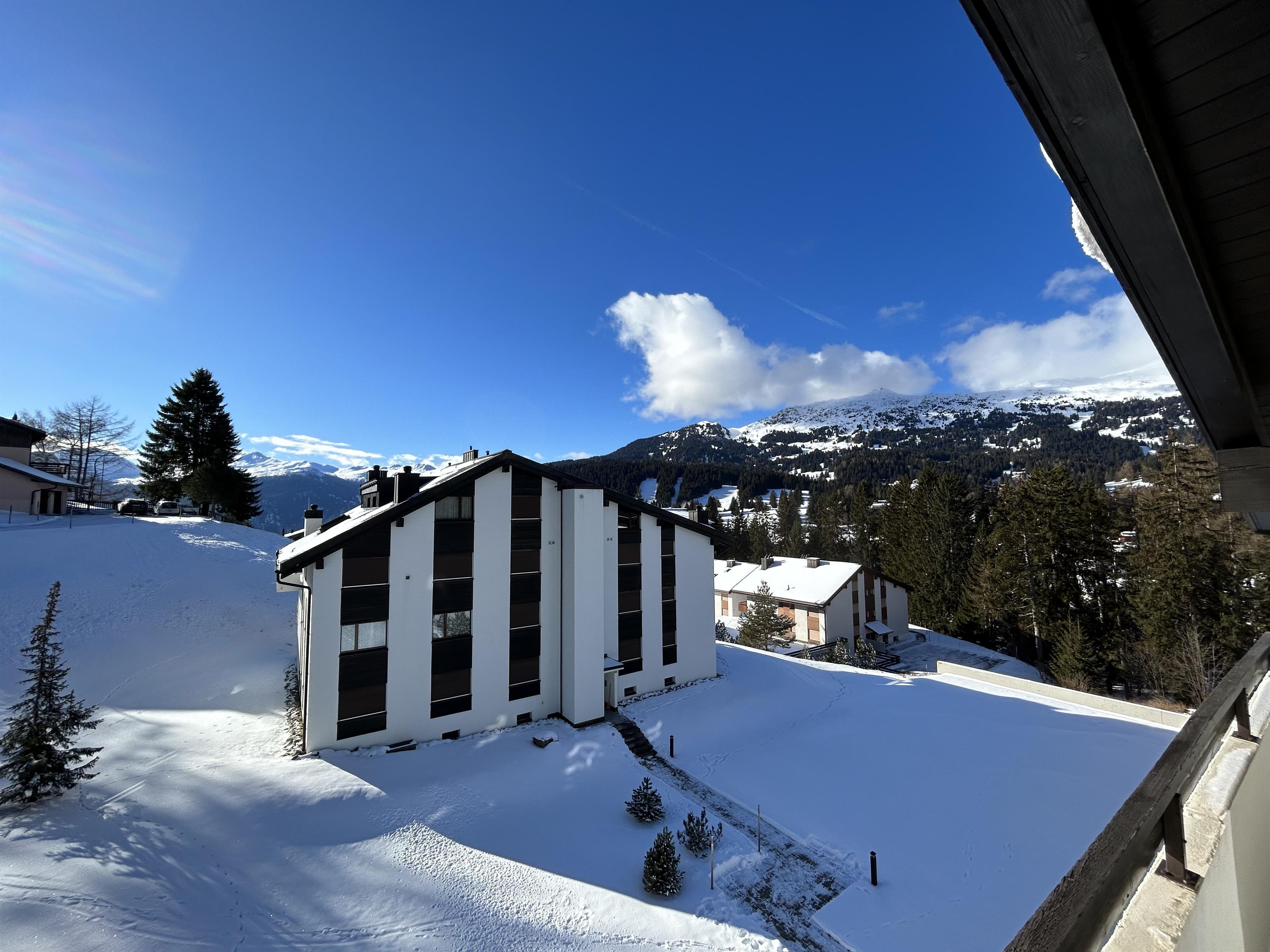 IMG_0833.jpg IMG_0833.jpg