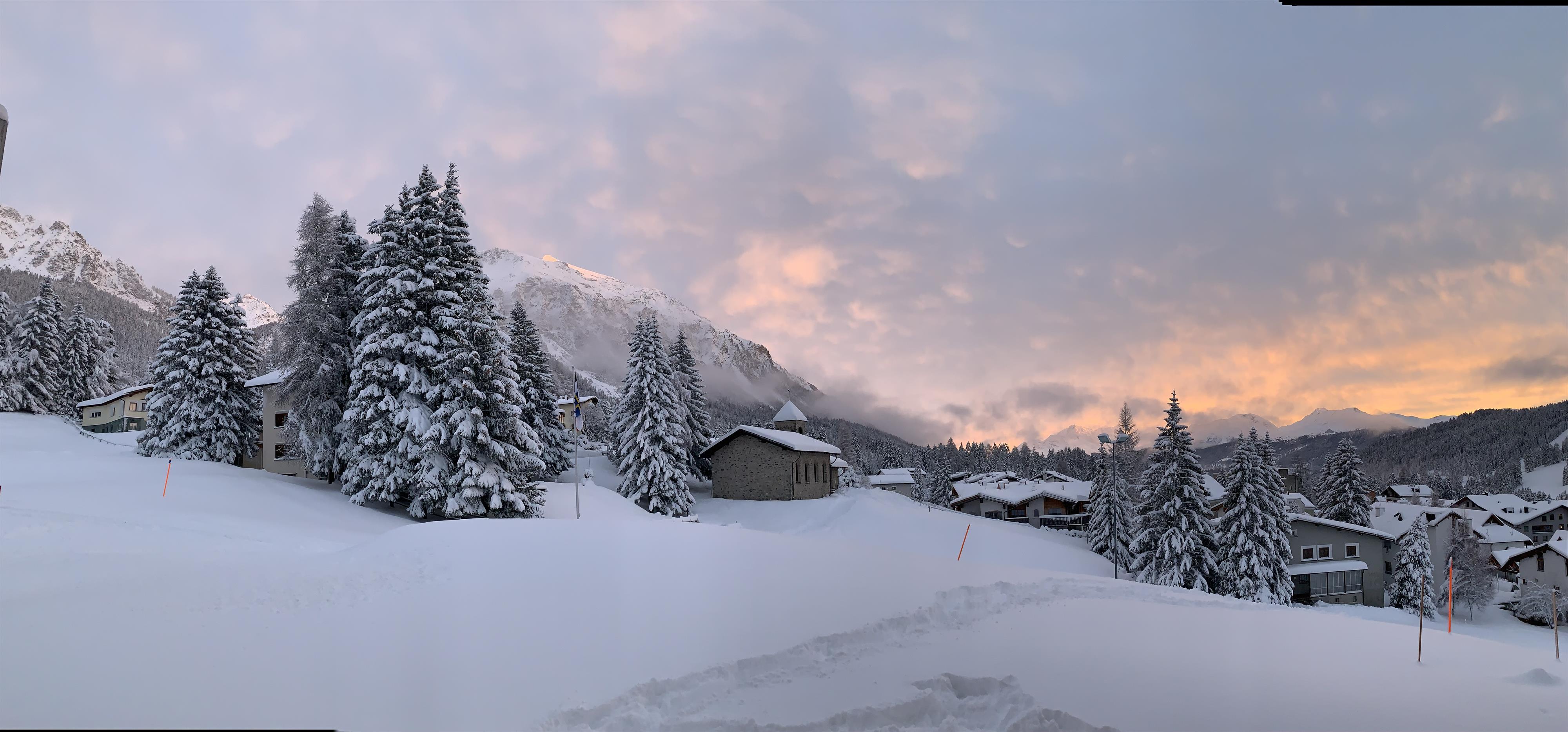 Fresh snow in winter Fresh snow in winter