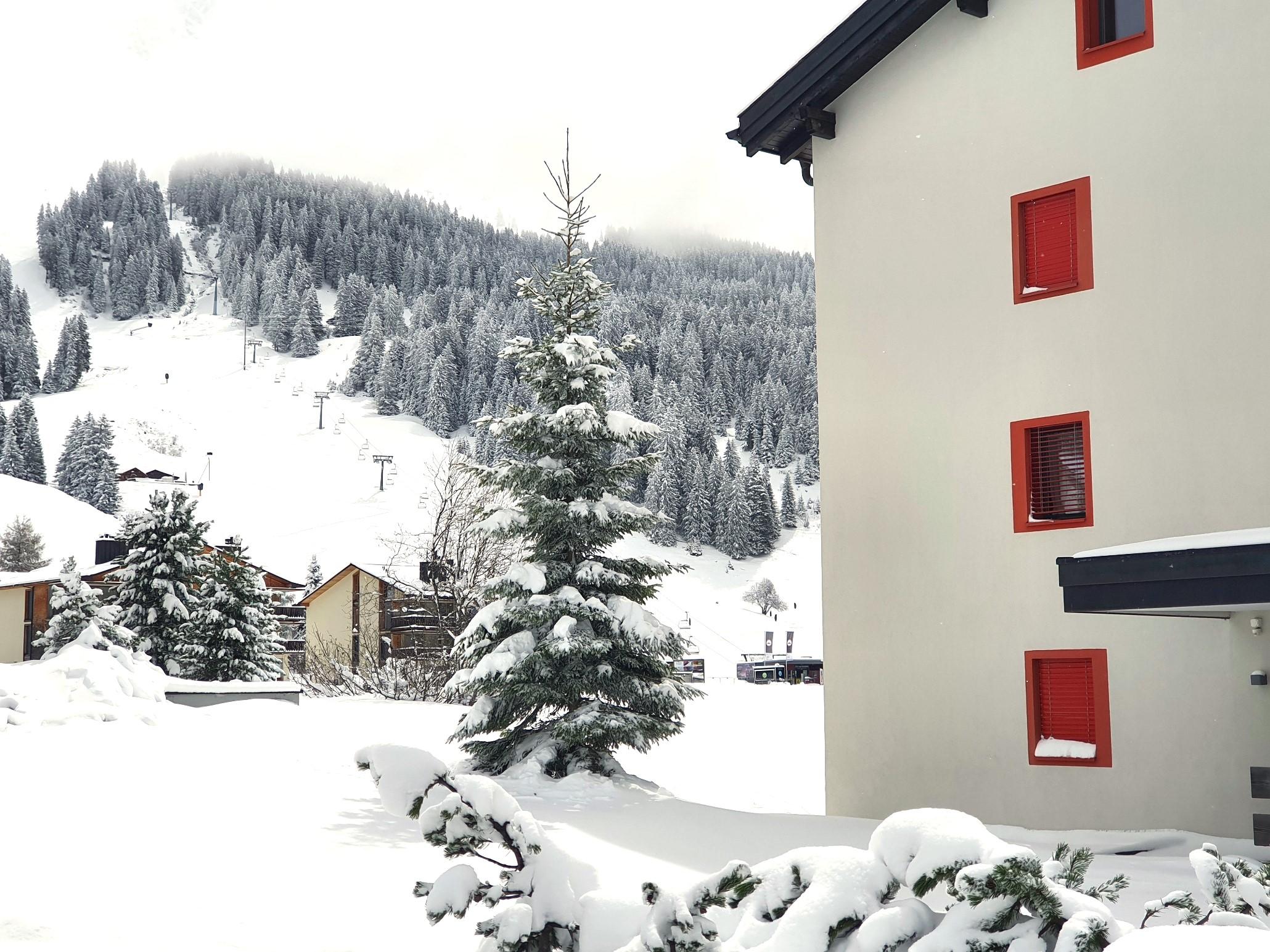 20240420_120837 20240420_120837