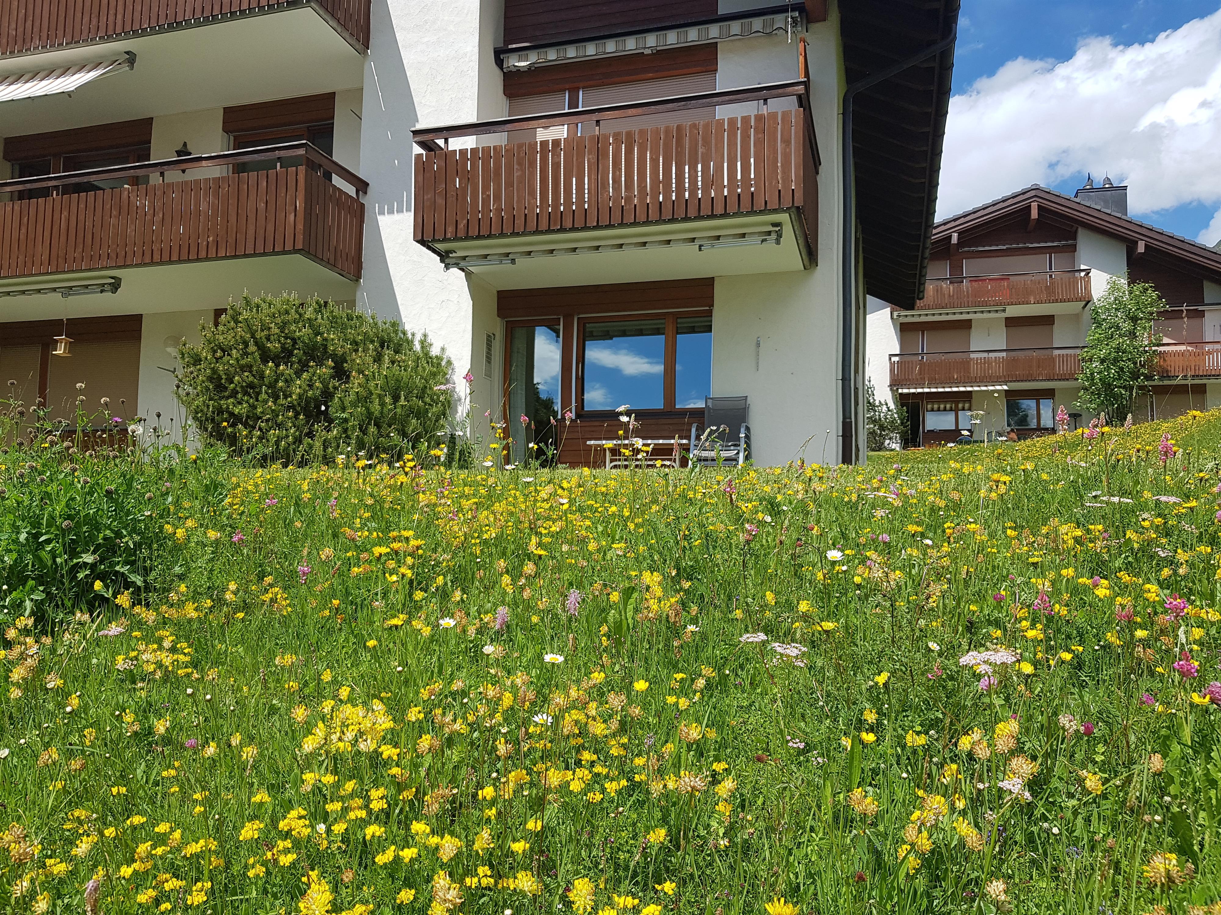 20220602_151132 20220602_151132