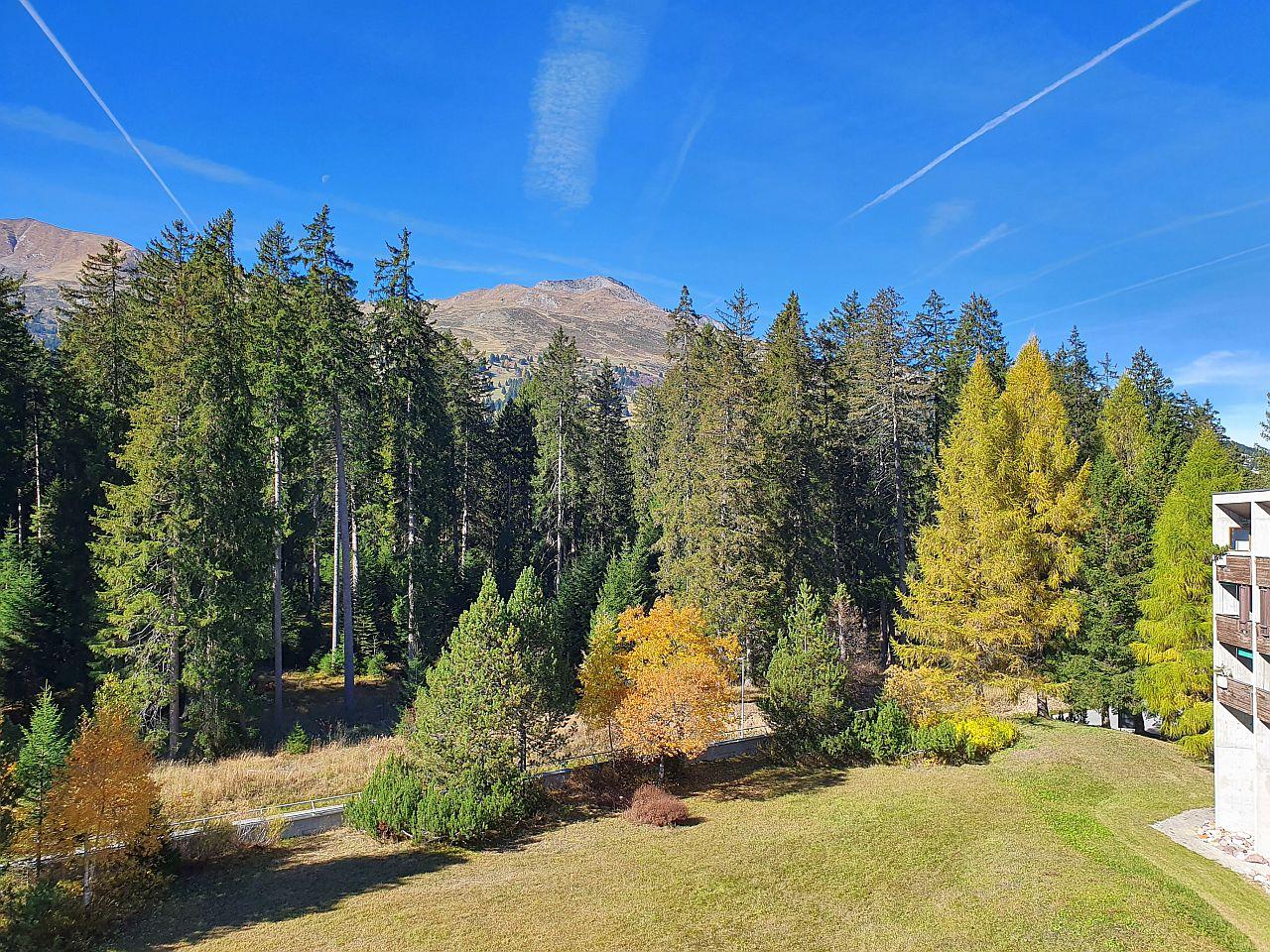 Aussicht vom Wohnzimmer/Balkon aus Aussicht vom Wohnzimmer/Balkon aus