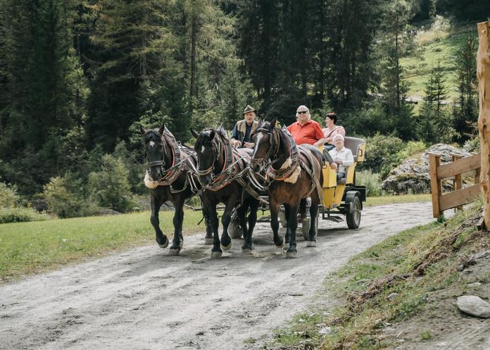 Pferdekutschenfahrten Matrei in Osttirol