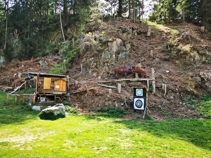 Bogenparcours Losach