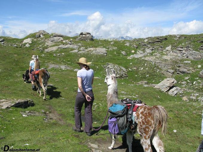 Dolomiten Lamatrekking