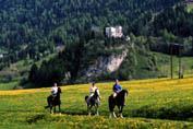 Reitstall Matrei in Osttirol