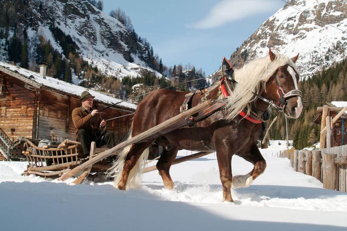 Pferdekutschenfahrten Matrei in Osttirol