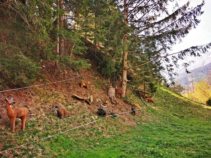 Bogenparcours Losach