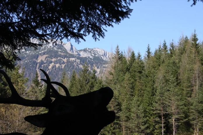 Bogenparcours | Oberweissbach