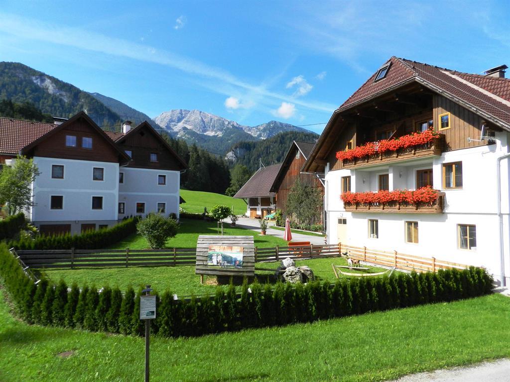 Baby- und Kinderbauernhof Riegler
