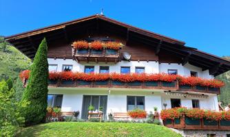 A traditional Alpine house with colorful flower boxes. The green meadow and the mountains in the background create a beautiful, natural setting.