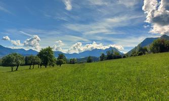 A picturesque meadow with lush green grass and a few trees. In the background, impressive mountains rise under a clear blue sky with white clouds.