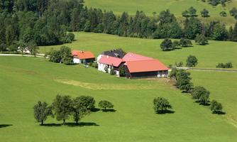 A spacious, green meadow with several trees and buildings in the middle. In the background, gentle hills and a forest are visible.