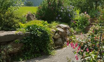 A beautiful garden with colorful flowers and lush greenery. In the background, trees and a hilly landscape are visible.