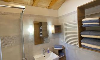 A modern bathroom with a wooden ceiling and elegant furnishings. The shower and sink are arranged functionally and stylishly.