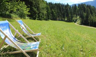 Two loungers are positioned on a green meadow. In the background, trees and a path are visible.