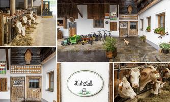 A traditional farm with a cow shed environment. Cows, tools, and a rural atmosphere can be seen.