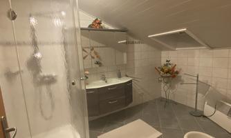 A modern bathroom with a shower and a sink. The walls are tiled and the decor is contemporary.
