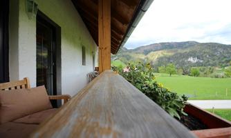 A view from a veranda with wooden beams and plants. In the background, green meadows and hills can be seen.